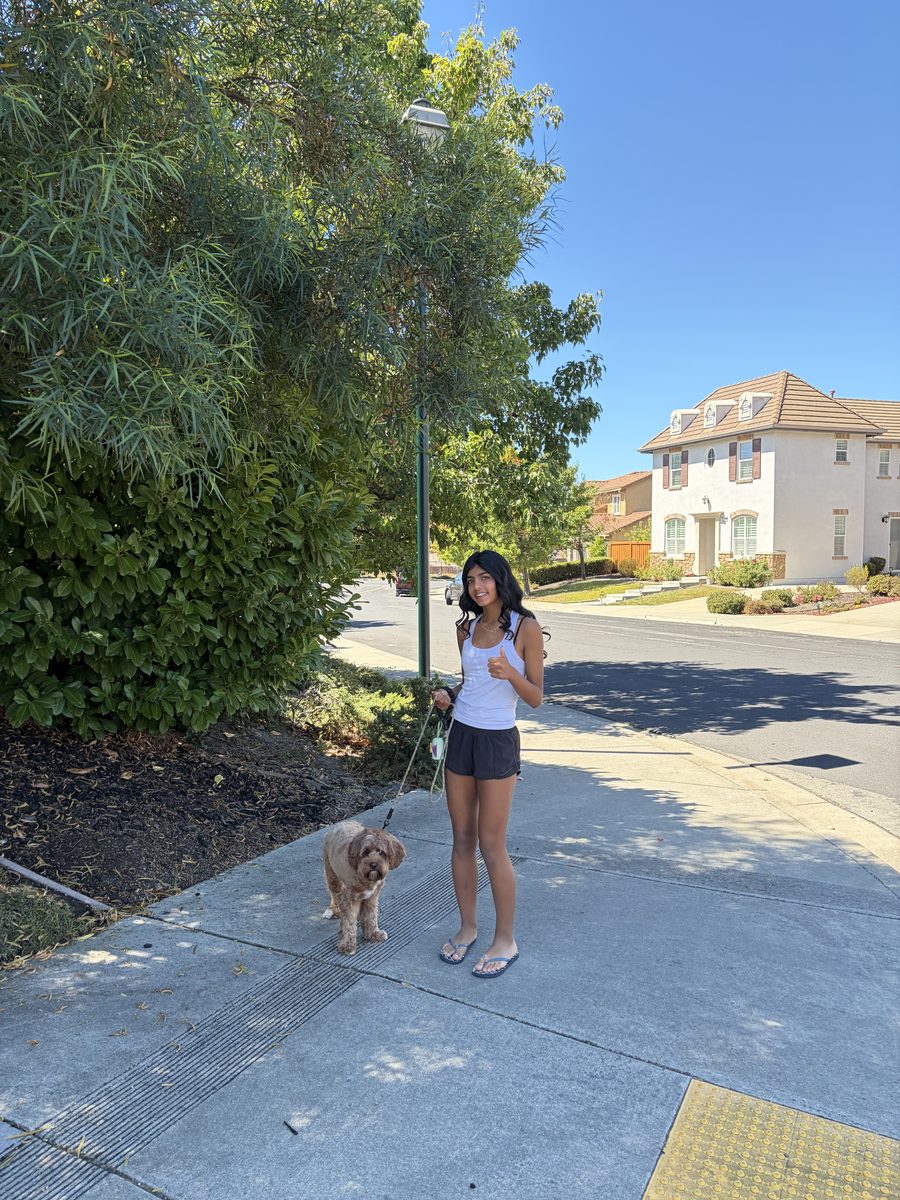 A teen walking a neighbor's dog on a residential sidewalk.